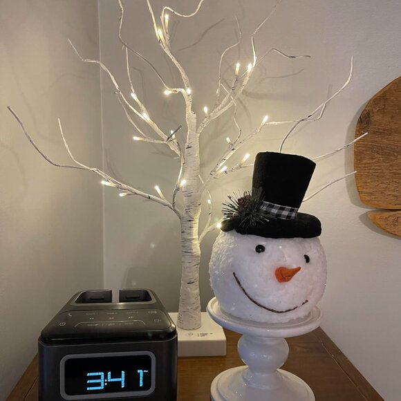 Christmas Decorations Indoor 2 Birch Tree with LED Light Home Decor Indoor - Picture 8 of 13